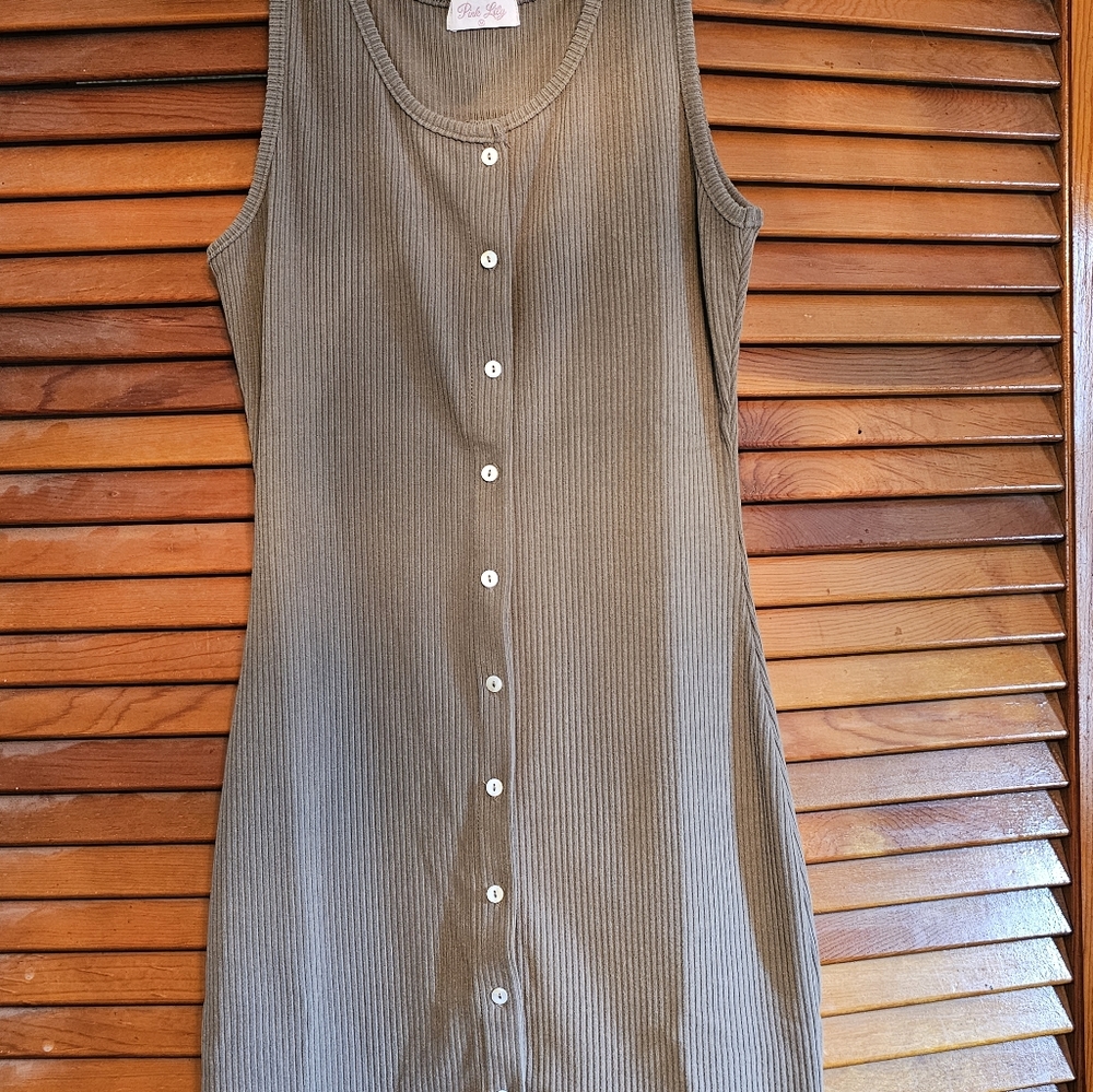 Pink Lily Boutique dress